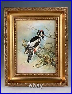 Fine Royal Worcester Int Painted Porcelain Plaque Terence Nutt Woodpecker Bird