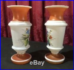 Pair Of Vintage Antique Floral Enamel Paint Decorated Bristol Art Glass 9 Vases