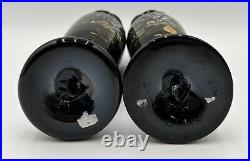 Two Victorian Enameled Black Amethyst Hand Blown Vase. Hand Painted